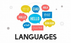 Multilingual transcription benefit